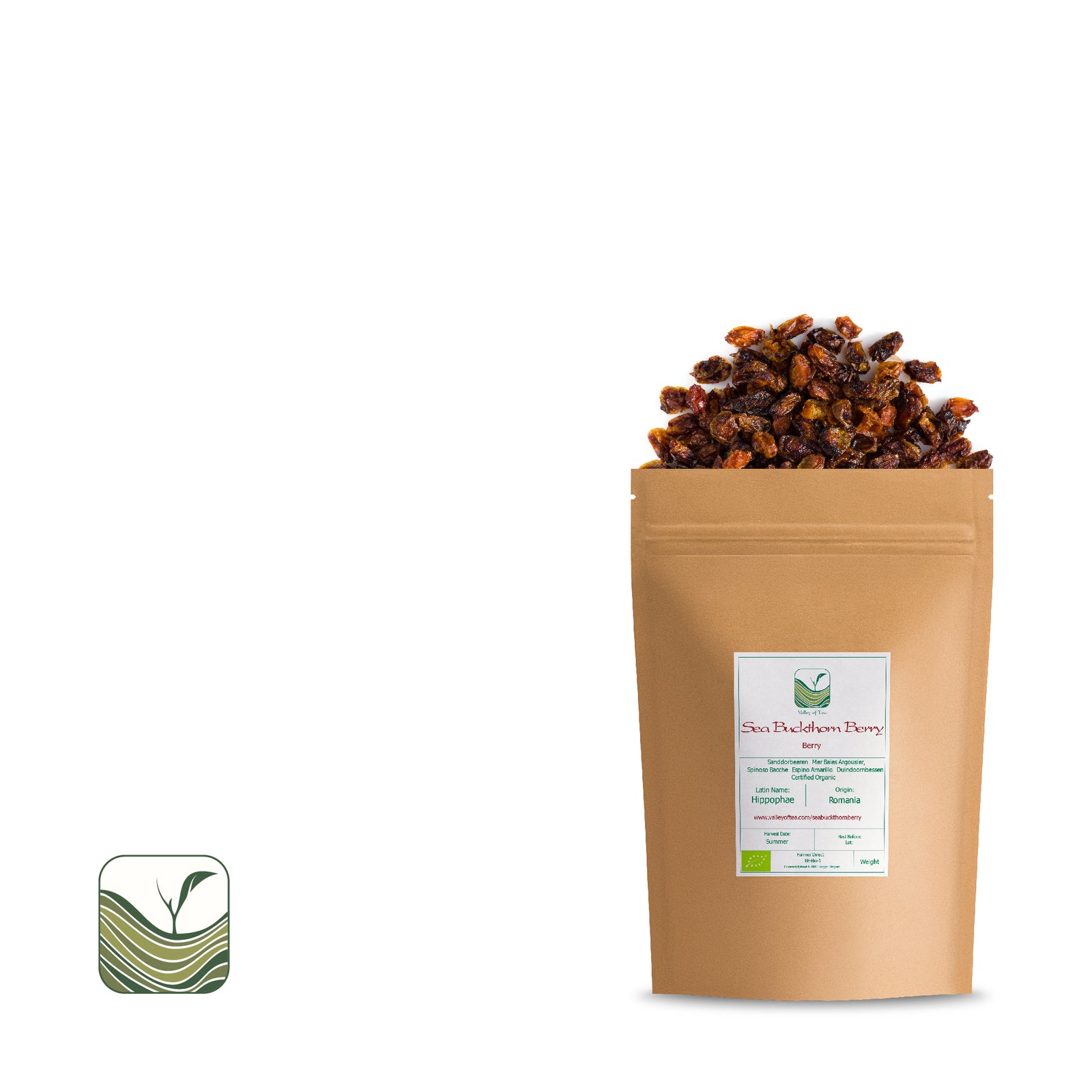 Sea Buckthorn Berry 100g