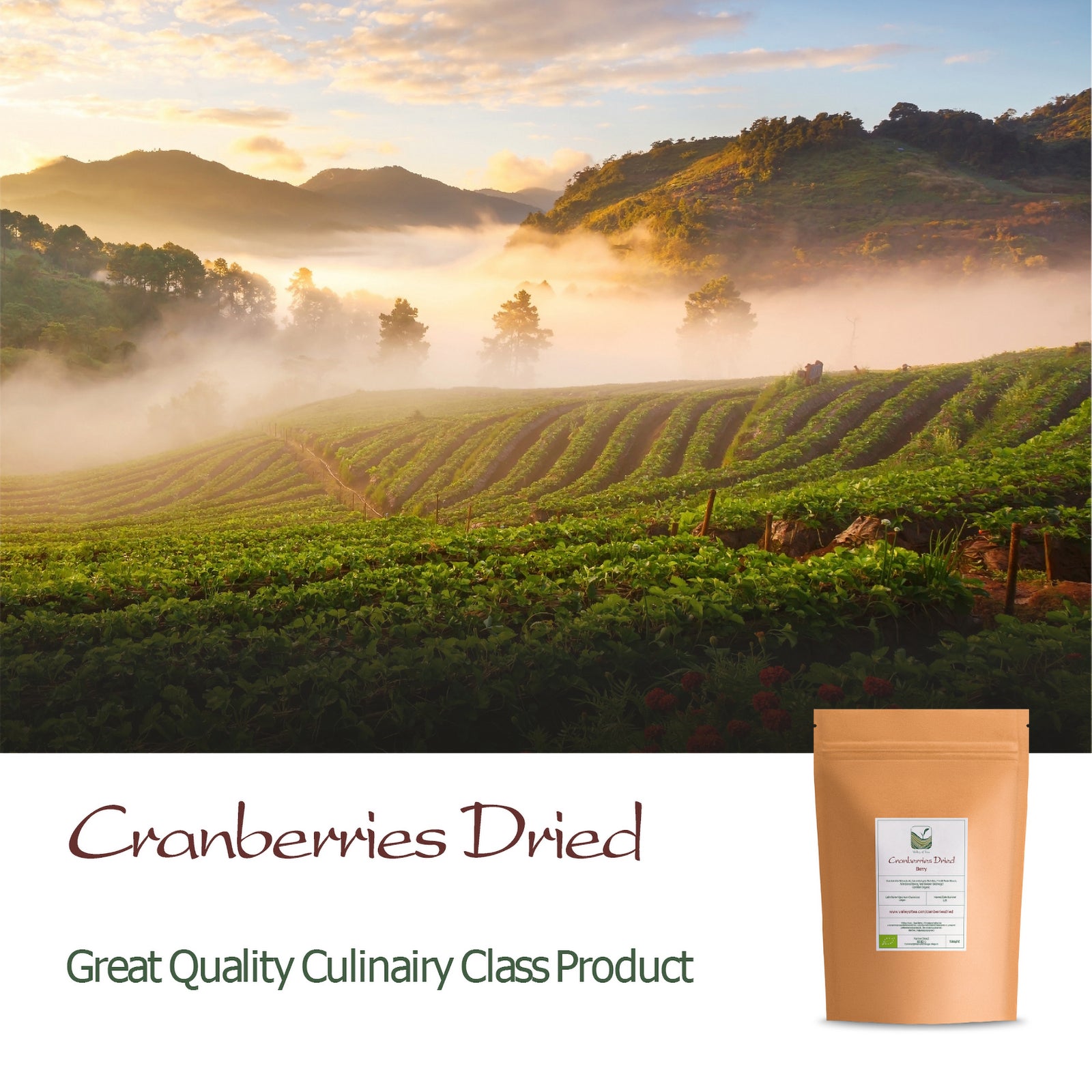 Cranberries Dried Organic Unsweetend - cranberry No Suggar Added Cranberry - Perfect for Sauce 250g