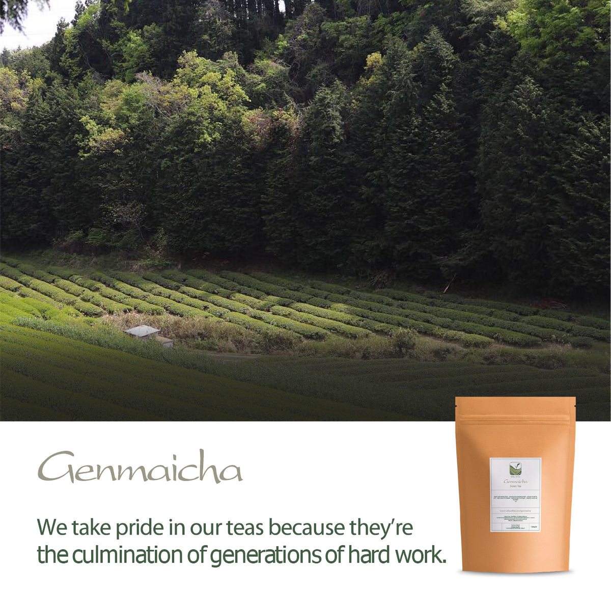 Genmaicha Roasted Rice Japanese Tea