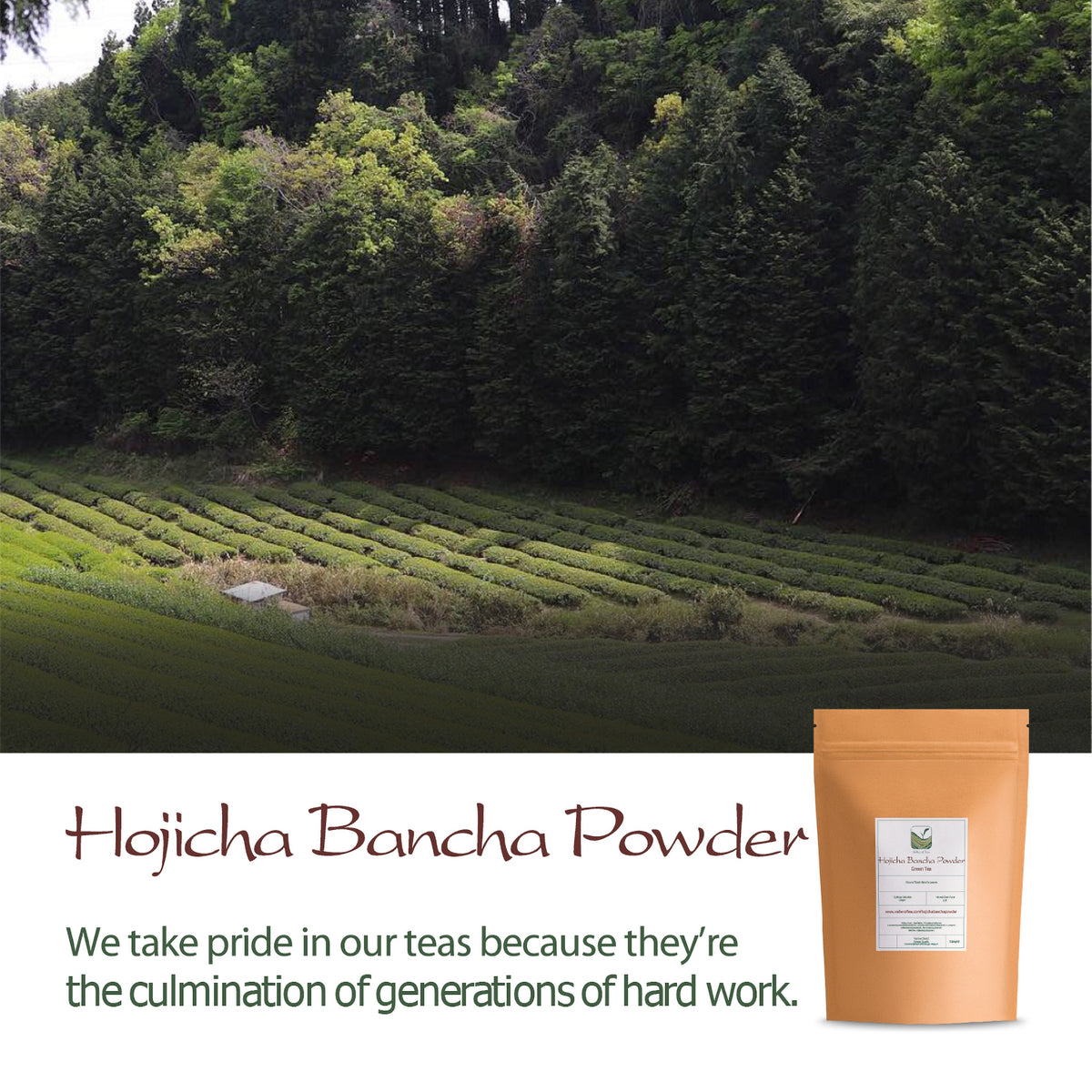 Hojicha Bancha Powder