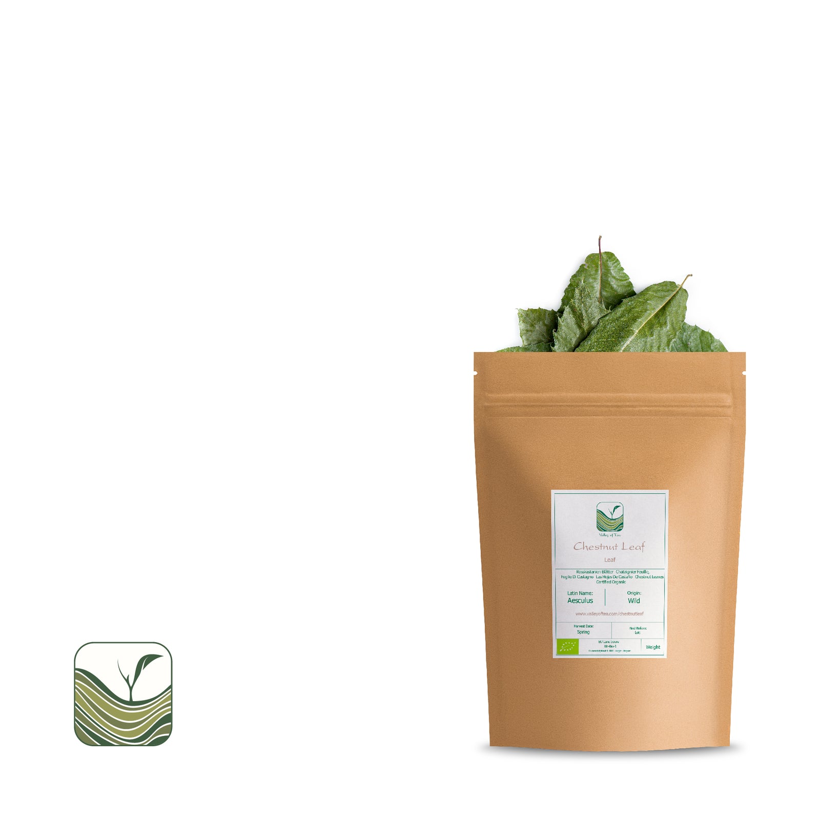Chestnut Leaf 100g