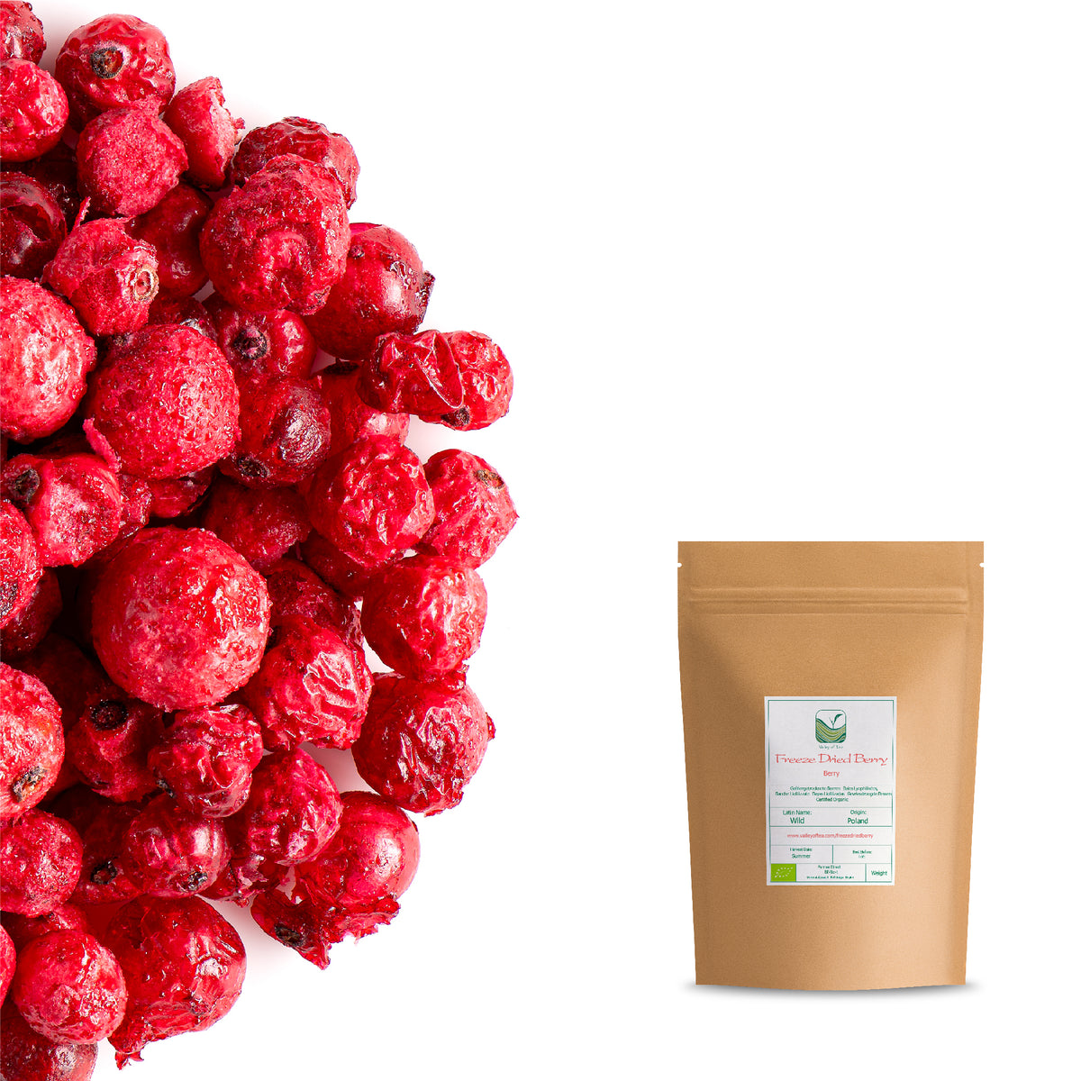 Freeze Dried Berry