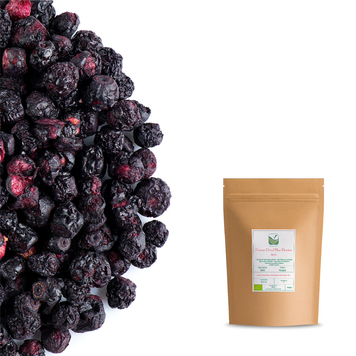 Freeze Dried Blue Berries