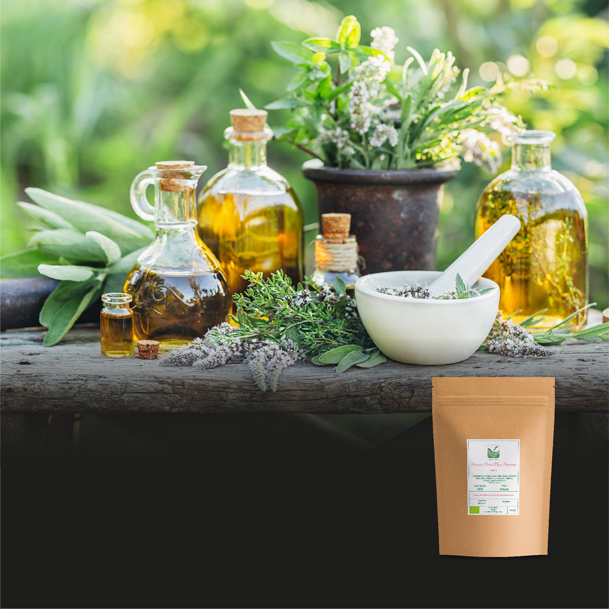 Freeze Dried Blue Berries