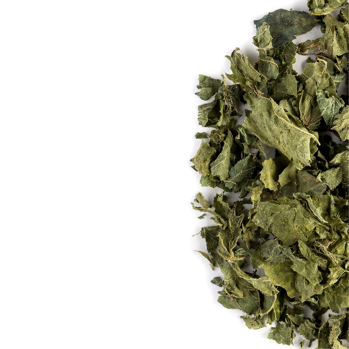 Nettle Leaf