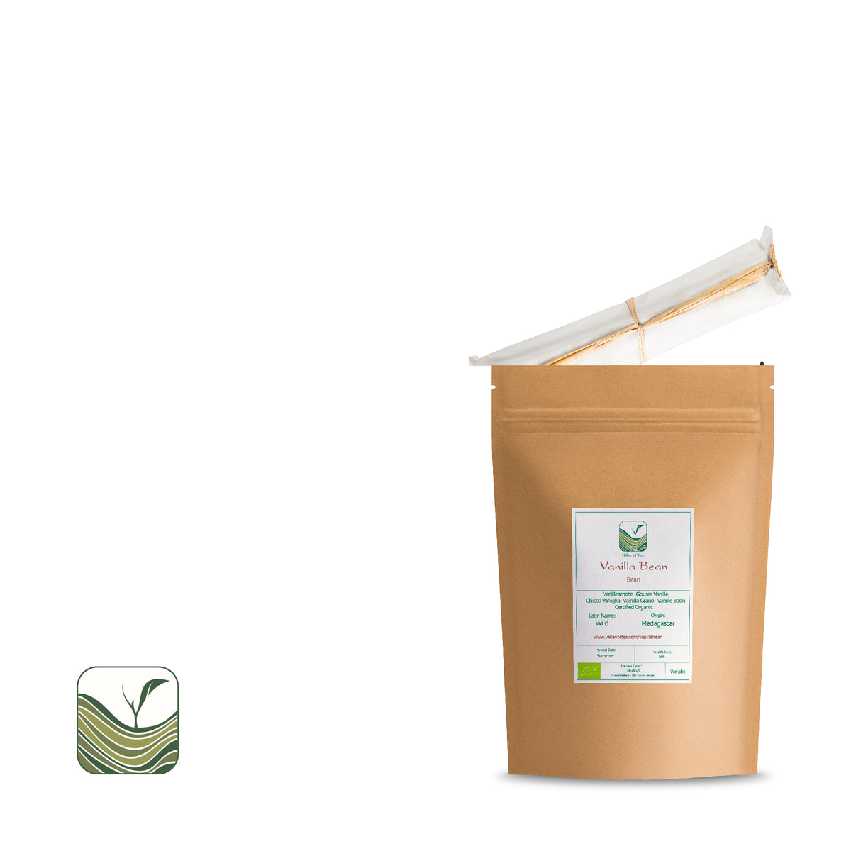 Vanilla Bean